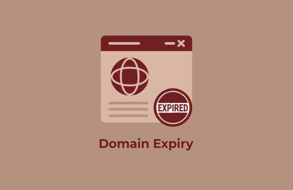 Domain Expiry Date