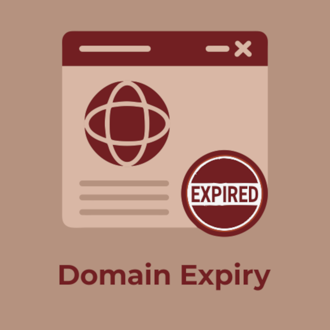 The Importance of keeping a check on Domain Expiry